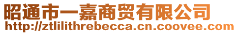 昭通市一嘉商貿(mào)有限公司