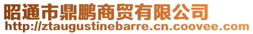 昭通市鼎鵬商貿(mào)有限公司