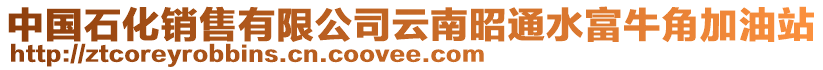 中國(guó)石化銷售有限公司云南昭通水富牛角加油站