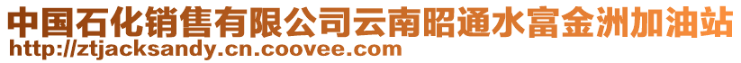 中國石化銷售有限公司云南昭通水富金洲加油站