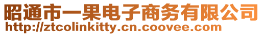 昭通市一果電子商務有限公司