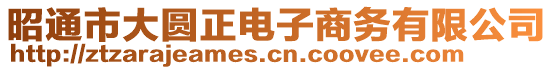 昭通市大圓正電子商務(wù)有限公司