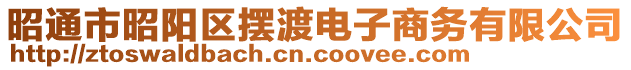 昭通市昭陽(yáng)區(qū)擺渡電子商務(wù)有限公司