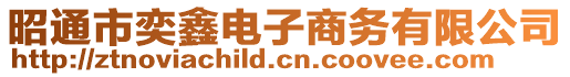 昭通市奕鑫電子商務有限公司