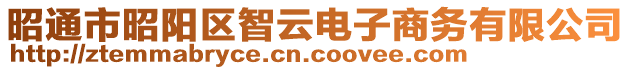 昭通市昭陽區(qū)智云電子商務(wù)有限公司