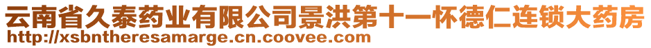 云南省久泰藥業(yè)有限公司景洪第十一懷德仁連鎖大藥房