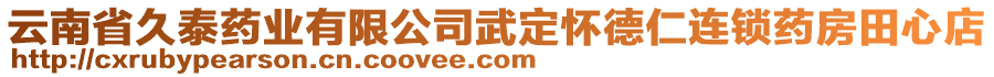 云南省久泰藥業(yè)有限公司武定懷德仁連鎖藥房田心店