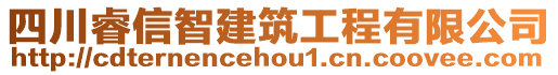 四川睿信智建筑工程有限公司