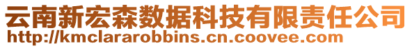 云南新宏森數(shù)據(jù)科技有限責(zé)任公司