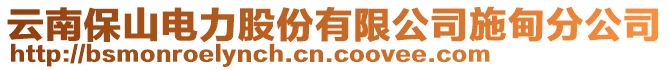 云南保山電力股份有限公司施甸分公司