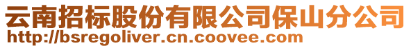 云南招標(biāo)股份有限公司保山分公司