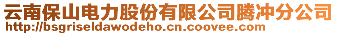 云南保山電力股份有限公司騰沖分公司