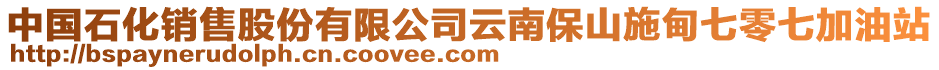 中國(guó)石化銷售股份有限公司云南保山施甸七零七加油站