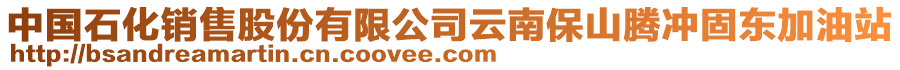 中國(guó)石化銷(xiāo)售股份有限公司云南保山騰沖固?hào)|加油站