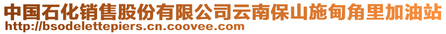 中國(guó)石化銷(xiāo)售股份有限公司云南保山施甸角里加油站