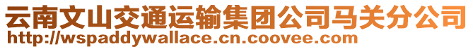 云南文山交通運(yùn)輸集團(tuán)公司馬關(guān)分公司