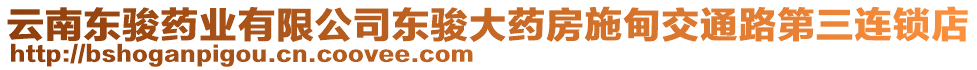 云南東駿藥業(yè)有限公司東駿大藥房施甸交通路第三連鎖店