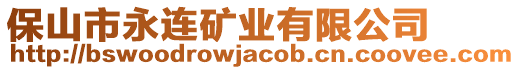 保山市永連礦業(yè)有限公司