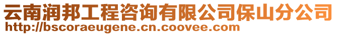 云南潤邦工程咨詢有限公司保山分公司