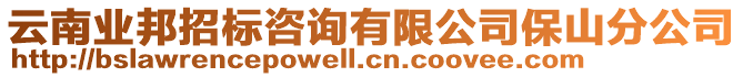 云南業(yè)邦招標(biāo)咨詢有限公司保山分公司