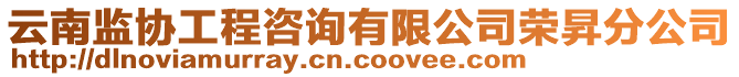 云南監(jiān)協(xié)工程咨詢有限公司榮昇分公司