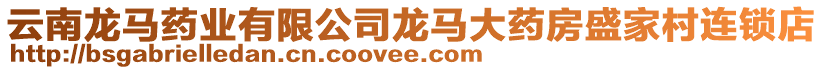 云南龍馬藥業(yè)有限公司龍馬大藥房盛家村連鎖店