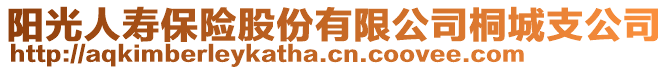 陽(yáng)光人壽保險(xiǎn)股份有限公司桐城支公司