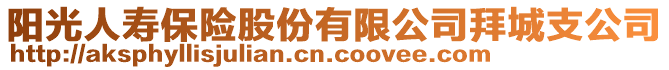 陽光人壽保險股份有限公司拜城支公司