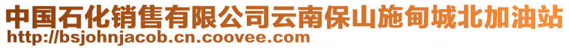 中國(guó)石化銷售有限公司云南保山施甸城北加油站