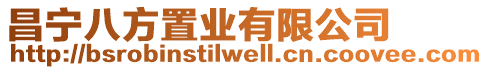 昌寧八方置業(yè)有限公司