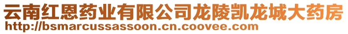 云南紅恩藥業(yè)有限公司龍陵凱龍城大藥房