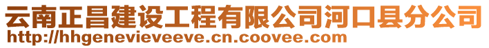 云南正昌建設工程有限公司河口縣分公司