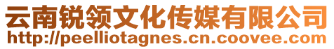 云南銳領(lǐng)文化傳媒有限公司