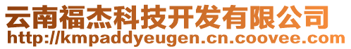 云南福杰科技開發(fā)有限公司