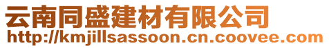 云南同盛建材有限公司