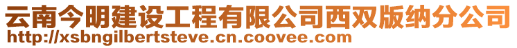 云南今明建設(shè)工程有限公司西雙版納分公司