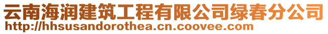 云南海潤建筑工程有限公司綠春分公司