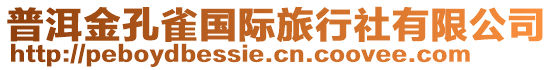 普洱金孔雀國際旅行社有限公司