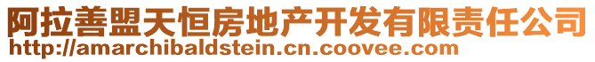 阿拉善盟天恒房地產(chǎn)開發(fā)有限責(zé)任公司