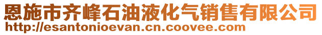 恩施市齊峰石油液化氣銷售有限公司