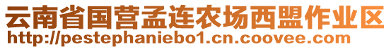 云南省國營孟連農(nóng)場西盟作業(yè)區(qū)