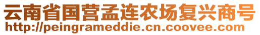 云南省國營孟連農(nóng)場復(fù)興商號