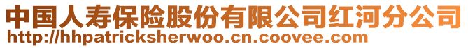 中國人壽保險股份有限公司紅河分公司