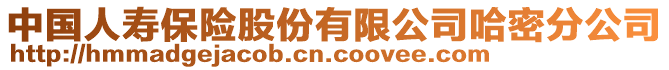 中國(guó)人壽保險(xiǎn)股份有限公司哈密分公司