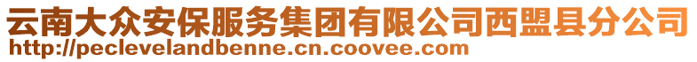 云南大眾安保服務集團有限公司西盟縣分公司