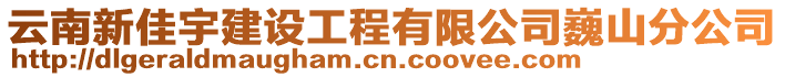 云南新佳宇建設工程有限公司巍山分公司