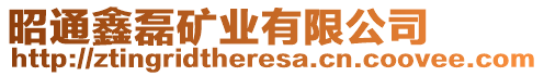 昭通鑫磊礦業(yè)有限公司