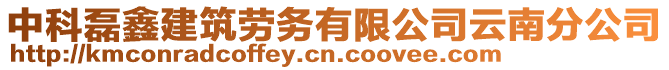中科磊鑫建筑勞務有限公司云南分公司
