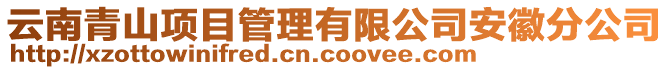 云南青山項目管理有限公司安徽分公司