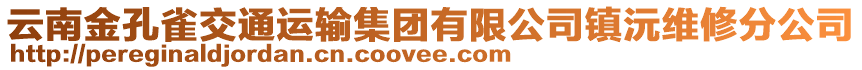 云南金孔雀交通運(yùn)輸集團(tuán)有限公司鎮(zhèn)沅維修分公司